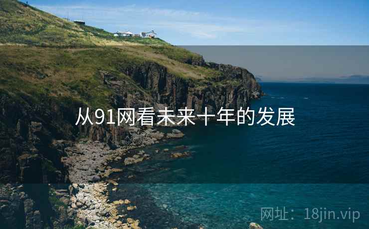 从91网看未来十年的发展