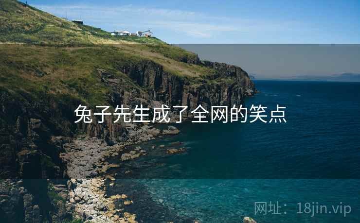兔子先生成了全网的笑点