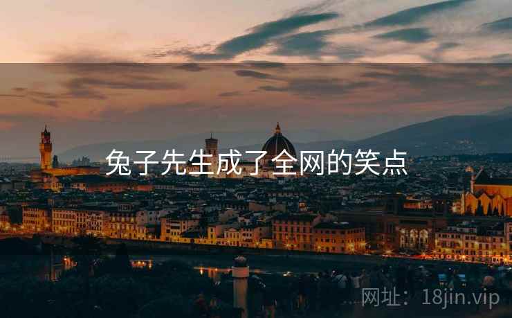 兔子先生成了全网的笑点