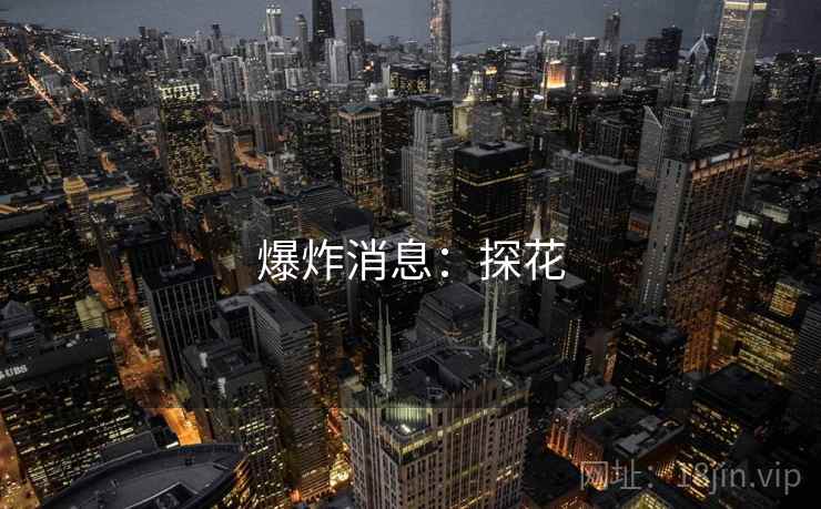 爆炸消息：探花