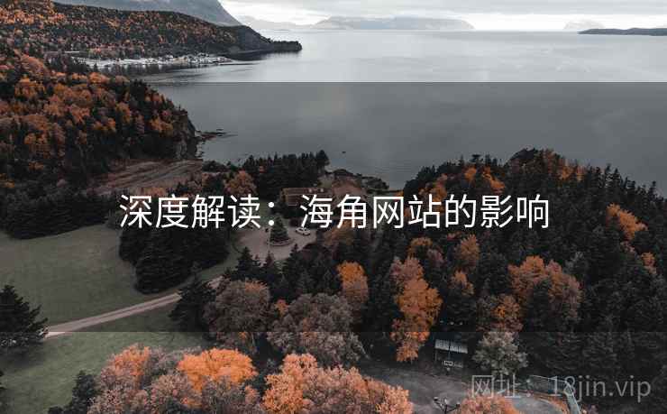 深度解读：海角网站的影响