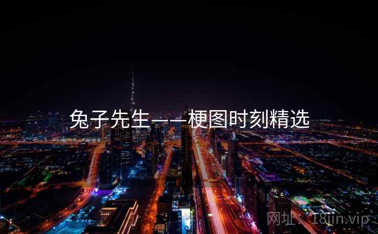 兔子先生——梗图时刻精选