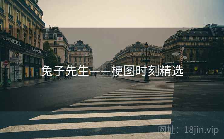 兔子先生——梗图时刻精选