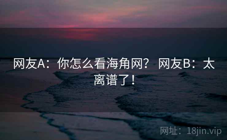 网友A：你怎么看海角网？ 网友B：太离谱了！