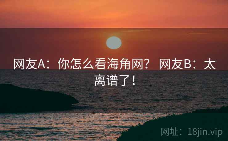 网友A：你怎么看海角网？ 网友B：太离谱了！