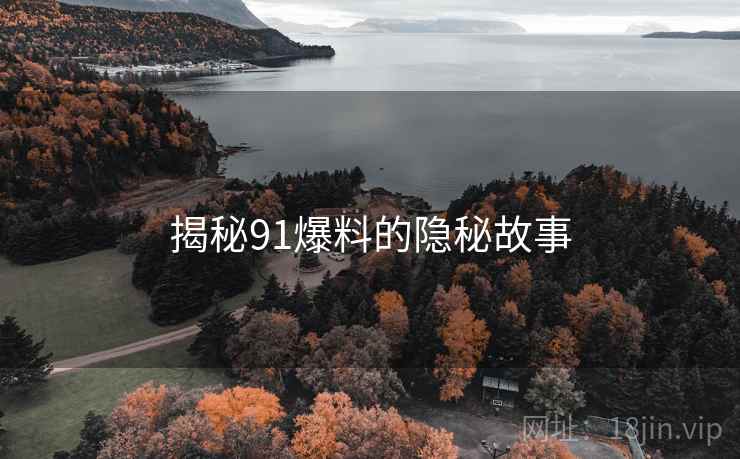 揭秘91爆料的隐秘故事