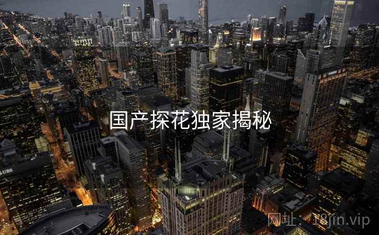 国产探花独家揭秘