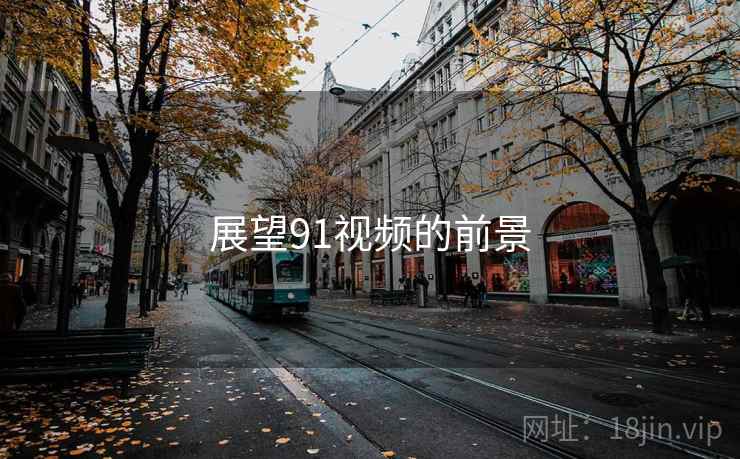 展望91视频的前景