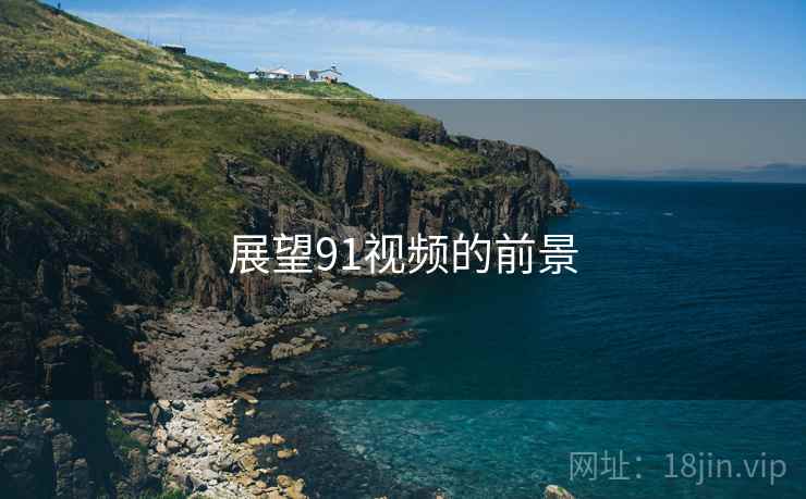 展望91视频的前景