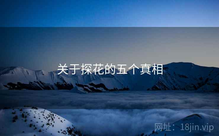 关于探花的五个真相 关于探花的五个真相