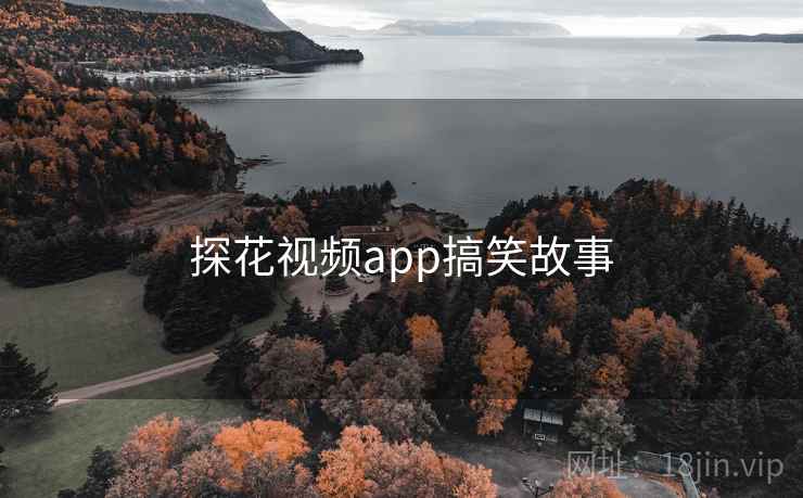 探花视频app搞笑故事